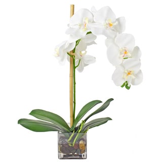 White Orchid Silk Flower with Glass Vase