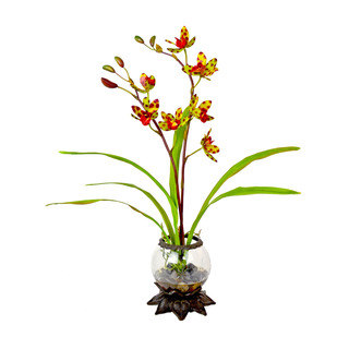 Creative Displays Red/ Green Cymbidium Orchid in Acrylic Water in Glass/ Iron Embellished Vase
