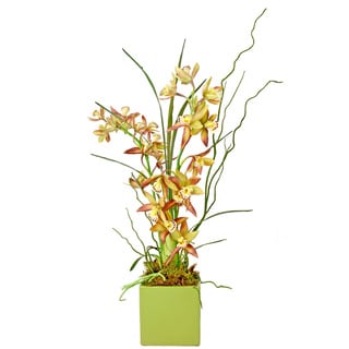 Creative Displays Cymbidium Orchid/ Curly Willow in Green Ceramic Square Vase