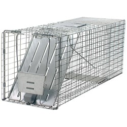 Havahart Animal Traps Single Door Raccoon Trap