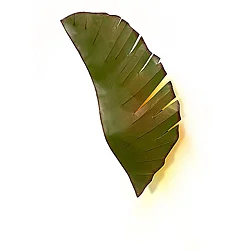 Varaluz Banana Leaf 2-light Wall Sconce