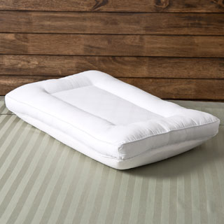 Comfort Memories 2-in-1 Reversible Memory Foam and Fiber Pillow