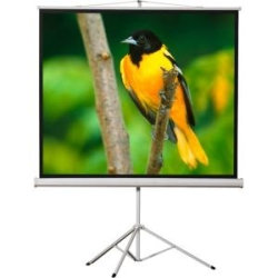 EluneVision Tripod Projection Screen - 70" - 1:1 - Surface Mount