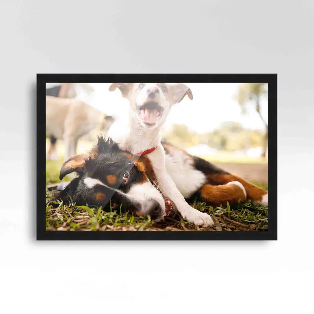 14x24 Black Picture Frame - Wood Picture Frame Complete with UV