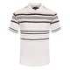 NE PEOPLE Mens Basic Stripe Polo T-shirts [NEMT273] - Thumbnail 2