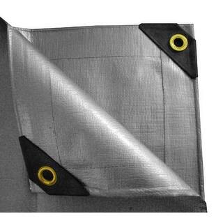 Link to 10 x 20 Heavy Duty Canopy Tarp - Silver Similar Items in Garage & Automotive