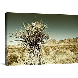 Premium Thick-Wrap Canvas entitled Big Bend desert