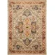 Alexander Home Luxe Antiqued Distressed Boho Area Rug - Thumbnail 5
