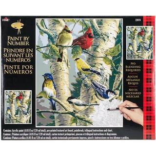 Paint By Number Kit 16"X20"-Song Birds