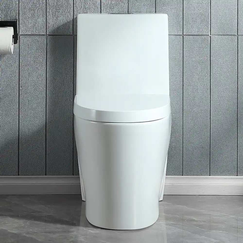 ABRUZZO Dual-Flush Elongated One-Piece Toilet with High Efficiency Flush - N/A