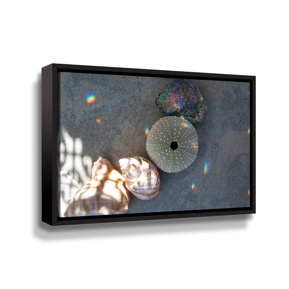 Healing Light Seashell Meditation Gallery Wrapped Floater-framed Canvas