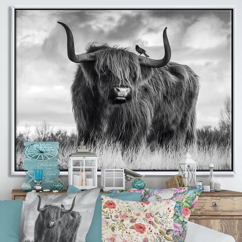 Designart "Longhaired Scottish Bull" Cottage Framed Canvas Art Print