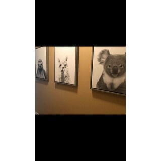 DesignOvation Simon Te 'Alpaca Portrait' Black and White Framed Canvas Wall Art