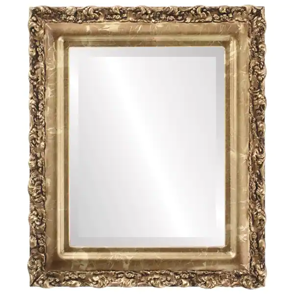Venice Framed Rectangle Mirror in Champagne Gold - Antique Gold