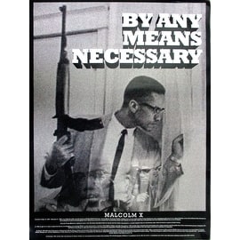 Malcolm X Poster By Any Means Necessary (18x24)